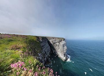 united-kingdom/kincardineshire/attraction/rspb-scotland-fowlsheugh