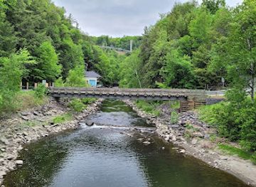 canada/eastern-townships/attraction/foresta-lumina