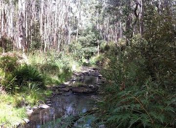 australia/melbourne/attraction/wombat-discovery-tours