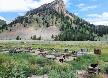 wyoming/jackson-hole/attraction/jackson-hole-iditarod-sled-dog-tours