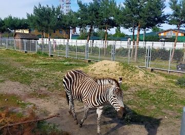 ukraine/vinnytsia-region/attraction/podilskyy-zoopark