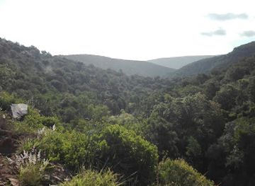 south-africa/amatola-mountains/attraction/natuurreservaat-mpofu