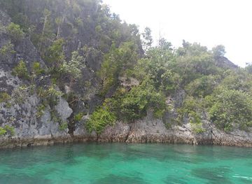 indonesia/west-papua/attraction/pantai-saleo