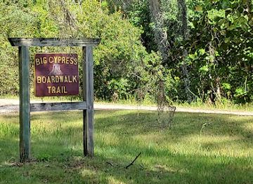 florida/big-cypress-national-preserve/attraction/big-cypress-boardwalk-trail-goethe-state-forest
