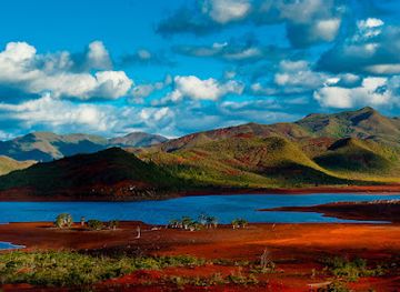 new-caledonia/ile-des-pins/attraction/caledonia-birds-guide-expert-en-ornithologie-birding-in-new-caledonia