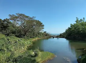 Bán đảo Sơn Trà