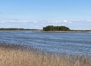 delaware/cape-henlopen-state-park/attraction/johnnie-walker-beach