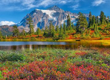 washington/mount-baker-snoqualmie-national-forest/attraction/mt-baker-ski-area