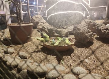 pakistan/rawalpindi/attraction/gom-aviary