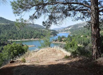 cyprus/troodos-mountains/attraction/tzelefos-bridge