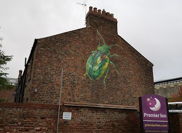 united-kingdom/york/attraction/york-s-tansy-beetle-mural