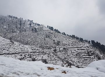 pakistan/khyber-pakhtunkhwa/attraction/beer-gali-hill-station