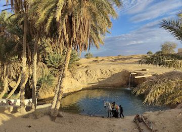 tunisia/chott-el-jerid/attraction/ras-el-ain-spring