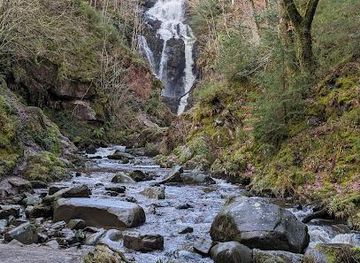 united-kingdom/glasgow/attraction/queen-elizabeth-forest-park