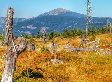 czechia/ore-mountains/attraction/cernohorske-raseliniste