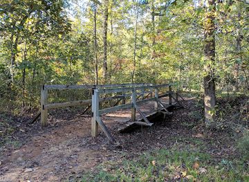 mississippi/tombigbee-national-forest/attraction/witch-dance-picnic-area