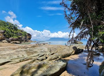 malaysia/borneo/attraction/bako-national-park