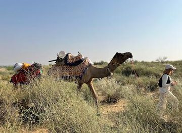 india/jaisalmer/attraction/thar-desert-tours