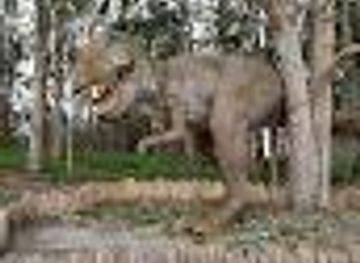 spain/oviedo/attraction/dinosaurios