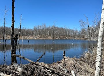 wisconsin/blue-hills/attraction/blue-hills-cross-country-ski-trails