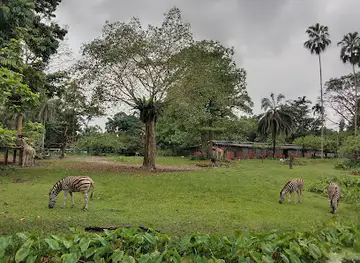 Taiping Zoo & Night Safari