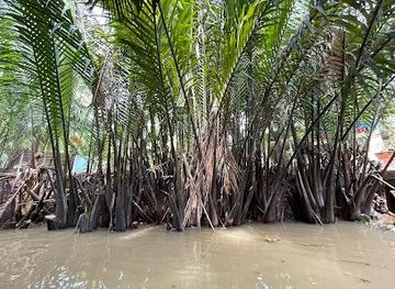 vietnam/ho-chi-minh-city/attraction/mekong-delta-tour