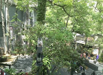 missouri/table-rock-lake/attraction/grandfather-s-mansion