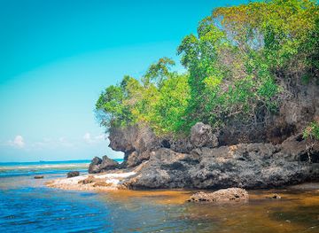 tanzania/zanzibar-archipelago/attraction/fujoni-adventure