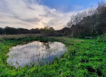 united-kingdom/cambridge-fens/attraction/great-fen