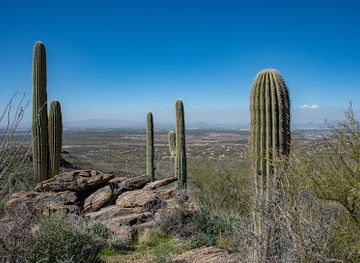 arizona/tucson-mountain-park/attraction/rincon-mountain-visitor-center