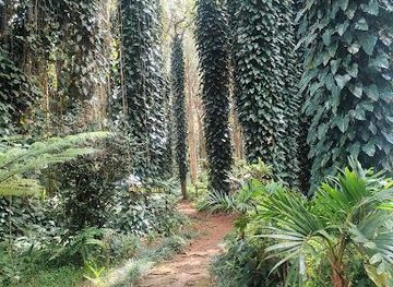 mauritius/pointe-aux-piments/attraction/sophie-nature-walk