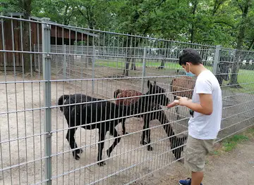 Zabakuck Zoo