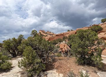 utah/vernal/attraction/red-fleet-dinosaur-track-site-trailhead