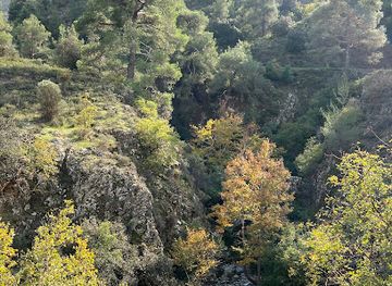 cyprus/machairas-forest/attraction/macheras-politiko-nature-trail