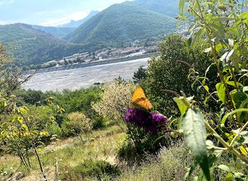 france/provence/attraction/geological-reserve-of-haute-provence