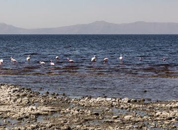 ethiopia/oromia-region/attraction/shala-lake