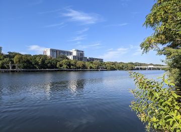 texas/central-texas/attraction/edward-rendon-sr-park-at-festival-beach-in-town-lake-metropolitan-park