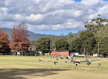 australia/yarra-valley/attraction/queens-park