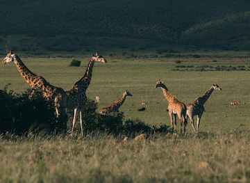 tanzania/kilimanjaro-region/attraction/i-artist-adventures