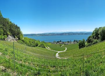 switzerland/neuchatel/attraction/les-grottes-des-roches-grises-la-lamberta