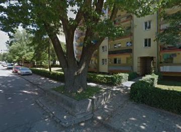 poland/lublin/czuby/attraction/pomnik-przyrody-dab-szypulkowy