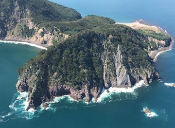 White Island Flights