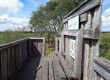 denmark/romo/attraction/solsted-mose