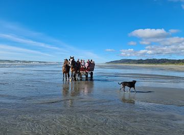 new-zealand/west-coast/attraction/golden-sands-horse-and-wagon-tours