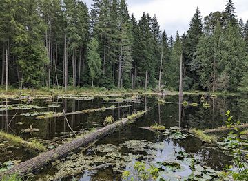 washington/redmond/attraction/redmond-watershed-preserve
