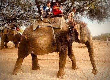 india/jaipur/jantar-mantar/attraction/elephant-with-jaipur-elephant-s-best-sanctuary-in-jaipur-contact-by-whatsapp