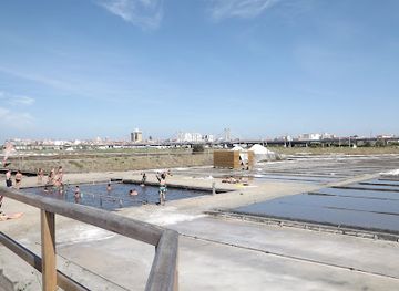 portugal/aveiro/attraction/salinario-cale-do-oiro
