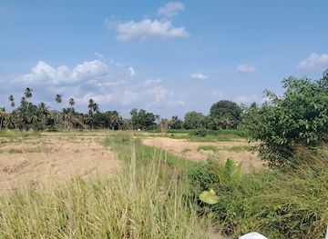 sri-lanka/anuradhapura-district/attraction/anuradhapura-new-town