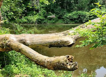 delaware/brandywine-creek-state-park/attraction/brandywine-creek-state-park-nature-center