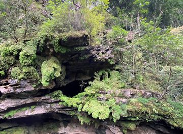 vietnam/north-central-coast/attraction/hang-tra-ang